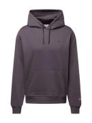 Champion Authentic Athletic Apparel Sweatshirt  grå