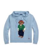 Polo Ralph Lauren Pullover  blå / lyseblå / brun / grøn