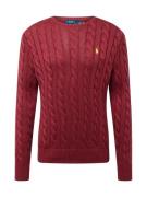 Polo Ralph Lauren Pullover 'DRIVER'  gul / carminrød