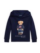 Polo Ralph Lauren Sweatshirt  mørkeblå / lysebrun / rød / hvid