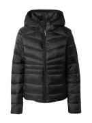 Superdry Vinterjakke 'Fuji'  sort