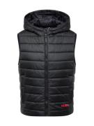 HUGO Vest 'Breneto2431'  purpur / sort