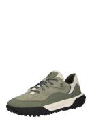 TIMBERLAND Sneaker low 'Greenstride™ Motion 6'  khaki / oliven / natur...