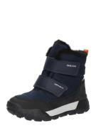 GEOX Snowboots 'TREKKYUP'  navy / hvid