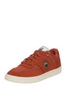 K-SWISS Sneaker low  mandarin / sort / hvid