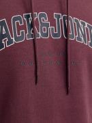 JACK & JONES Sweatshirt 'JJECaleb'  mørkeblå / vinrød / hvid