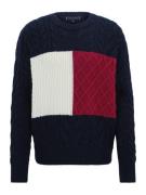 TOMMY HILFIGER Pullover  ecru / marin / burgunder