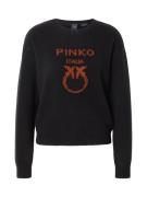 PINKO Pullover 'BURGOS'  brun / sort