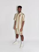 FCBM Bluser & t-shirts 'Amir'  beige / khaki / rød