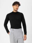 Dandalo Pullover  sort