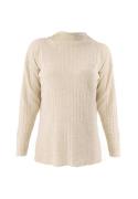 Jimmy Sanders Pullover  beige