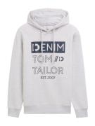 TOM TAILOR DENIM Sweatshirt  navy / lysegrå