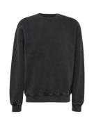 Abercrombie & Fitch Sweatshirt 'ESSENTIAL'  sort