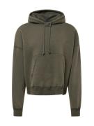 Abercrombie & Fitch Sweatshirt  oliven