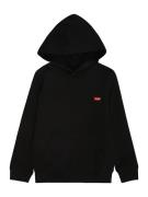 Levi's Kids Sweatshirt  sort