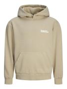 Jack & Jones Junior Sweatshirt 'JORVERMONT'  beige / hvid