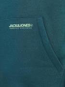 JACK & JONES Sweatshirt  grøn / mint