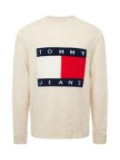 Tommy Jeans Pullover  beige-meleret / navy / rød / hvid