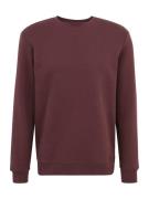 Only & Sons Sweatshirt 'ONSCONNOR'  brun