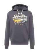 Superdry Sweatshirt 'New York'  safir / gul / sort / hvid