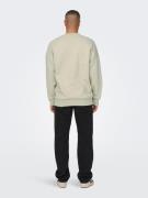 Only & Sons Sweatshirt 'Dan'  beige