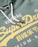 Superdry Sweatshirt  curry / grå / hvid