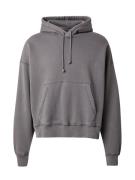 Abercrombie & Fitch Sweatshirt  grå