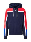 Champion Authentic Athletic Apparel Sweatshirt  navy / royalblå / rød ...