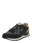 Pepe Jeans Sneaker low  khaki / gran / aubergine / sort