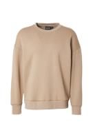 Cars Jeans Sweatshirt 'EAMON'  taupe