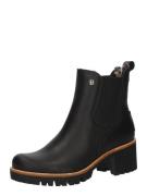 PANAMA JACK Chelsea Boots 'Pia Trav B1'  sort