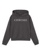 NAME IT Sweatshirt  grå / hvid