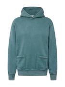 Champion Authentic Athletic Apparel Sweatshirt  petroleum