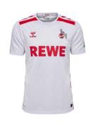 Hummel Fodboldtrøje '1. FC Köln 24/25'  rød / sort / hvid