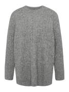 Vero Moda Petite Pullover 'VMELYA'  grå-meleret