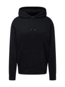 HOLLISTER Sweatshirt  sort