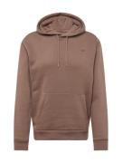 HOLLISTER Sweatshirt  brokade