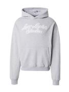 Low Lights Studios Sweatshirt 'Shutter'  grå-meleret / hvid