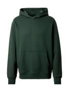 Abercrombie & Fitch Sweatshirt  mørkegrøn