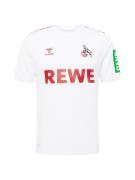 Hummel Funktionsskjorte 'FC Köln 23-24 Auswärts'  blå / grøn / rød / h...