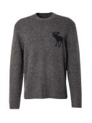 Abercrombie & Fitch Pullover  sort / sort-meleret