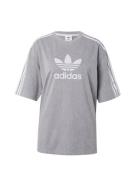 ADIDAS ORIGINALS Shirts  grå / lysegrå