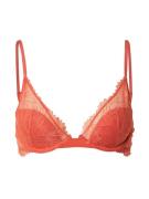 Calvin Klein Underwear BH  orange