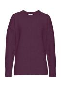 LASCANA Pullover  aubergine