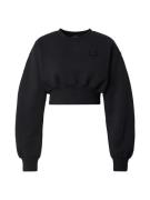 Jordan Sweatshirt 'FLT FLC'  sort