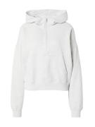 HOLLISTER Sweatshirt  lysegrå