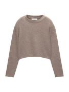 Pull&Bear Pullover  mudderfarvet