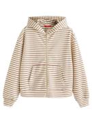 Next Sweatjakke  beige / brun