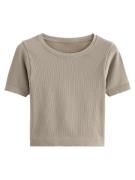 Next Shirts  beige