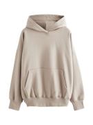 Next Sweatshirt  beige